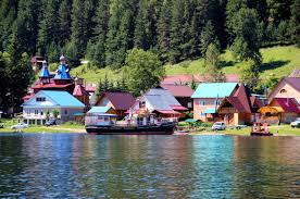 Купить Участок 12 соток (132/5 - T) земельные участки Горного Алтая